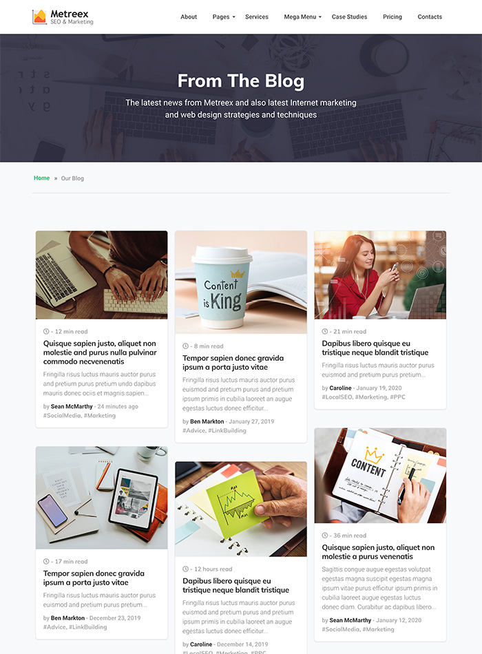 Metreex - SEO & Digital Marketing Agency Landing Page Template Preview