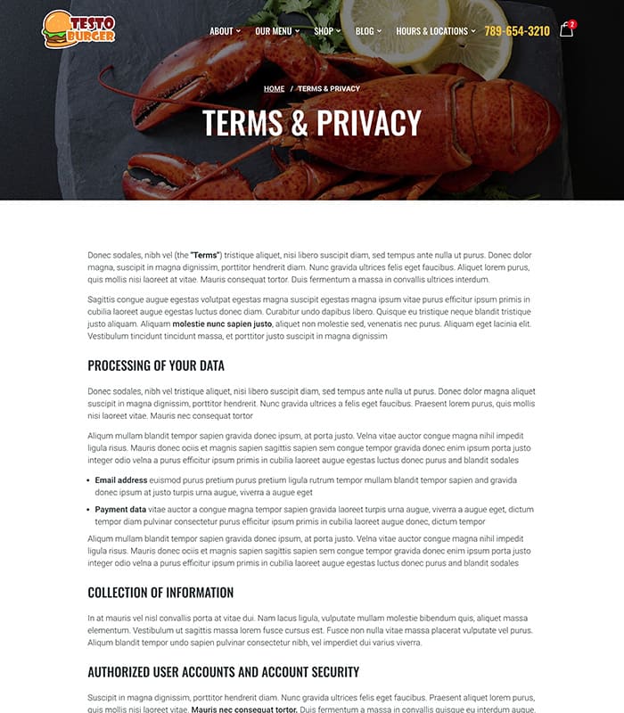 terms-preview