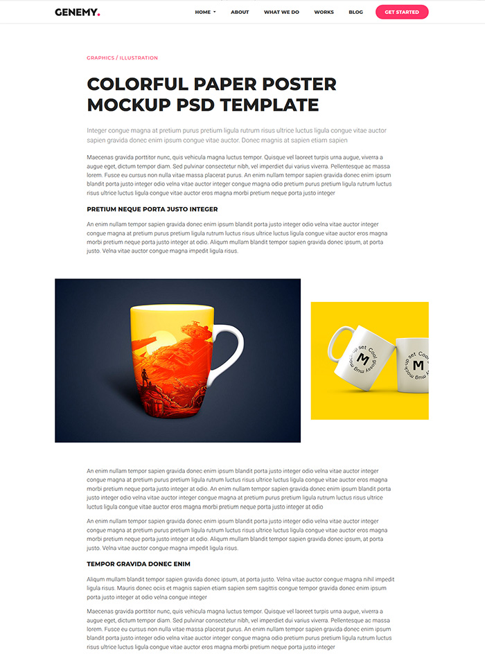 layout-20-preview